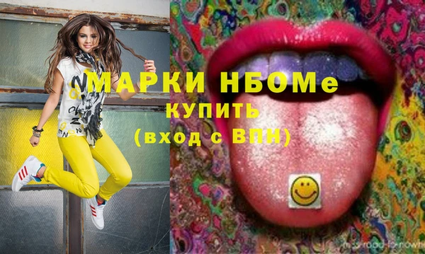 соль ск Краснослободск